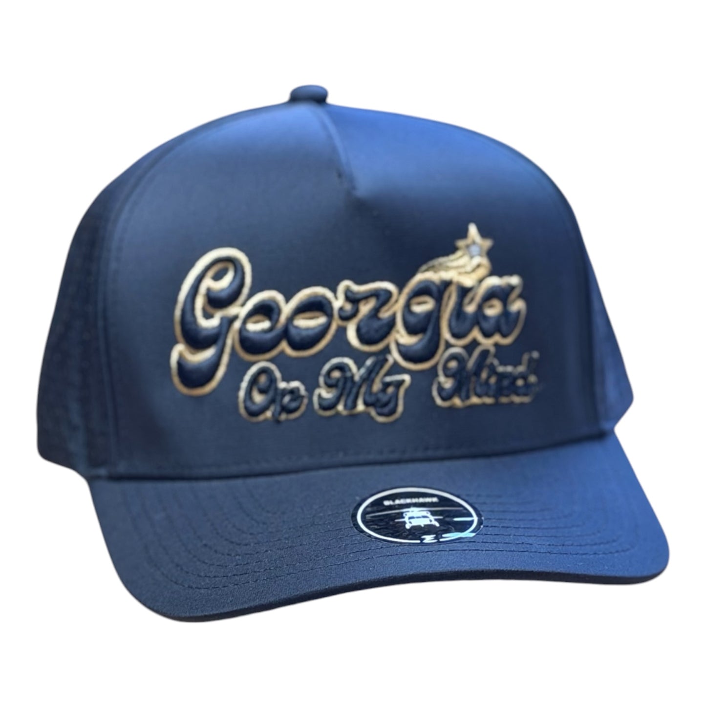 3-D GEORGIA ON MY MIND/Zapped Blackhawk-Black