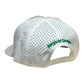 3-D Embroidered Georgia Hat Company Logo Zapped Blackhawk R+/White Green